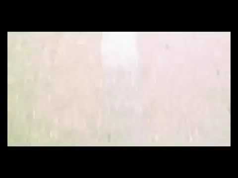 Onise $ west-emigrantebi(2007 Weil)