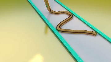 Smooth Spline.Cinema4D