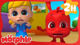 Lion Escape! 🦁 | Fun Animal Cartoons | @MorphleTV  | Learning for Kids