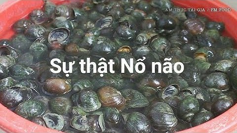 Sự thật về Ốc Bươu Vàng. Mò cua Bắt ốc về Cải thiện Cuối tuần / AM THUC TAI GIA.