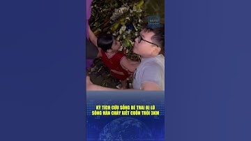 🔔 Kỳ tích cứu sống bé trai bị lũ sông Hàn chảy xiết cuốn trôi 3km