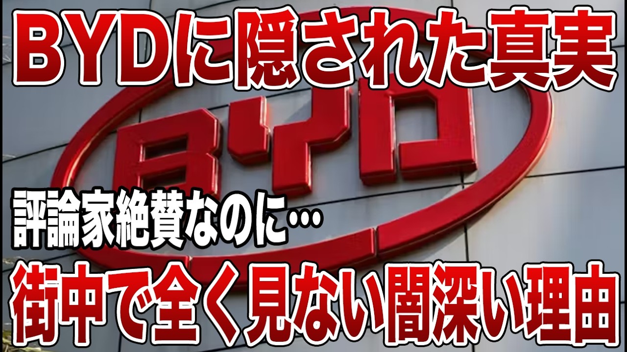 【苦戦が明らかに】街中で見かけない理由…BYD購入者が直面した現実【ゆっくり解説】