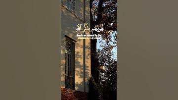 جزء من سورة الرعد | بصوت القارئ الشيخ عبد الرحمن مسعد