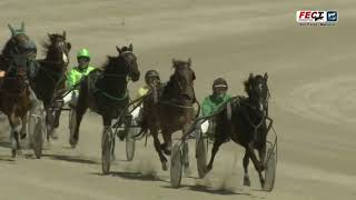 Vidéo de la course PMU PREMI ANDREA