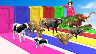 Choose The Right Door Game With Elephant Mammoth Cow Tiger Gorilla Bull Dinosaur Scary Teacher 3D