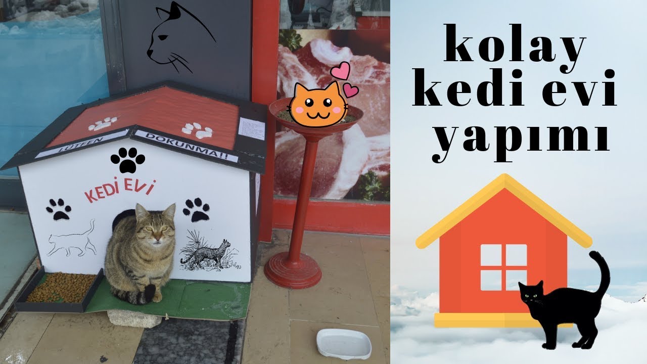 Kedi Evi Yapimi 20 Liraya Kedi Evi Nasil Yapilir Izle Ve Gor Youtube