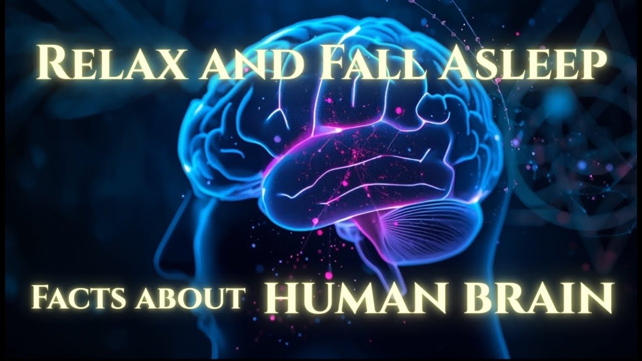 Inside the Human Brain | Relax and Fall Asleep - YouTube
