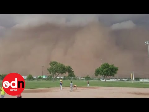 Rare &#039;haboob&#039; dust storm interrupts children&#039;s baseball game in Texas