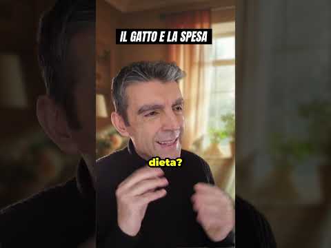 Il gatto e la spesa