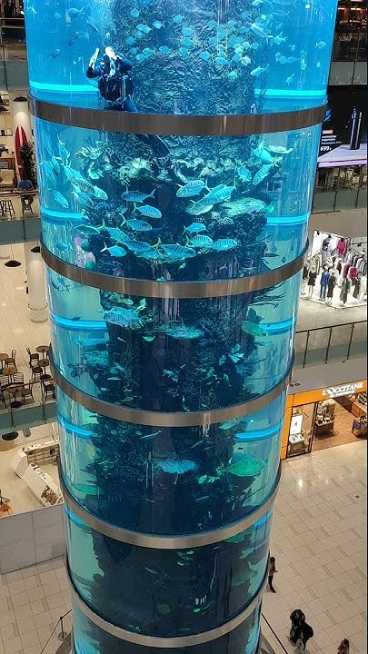 #авиапарк #аквариум ( #Aviapark #aquarium ) #russia #moscowcity #moscow ...