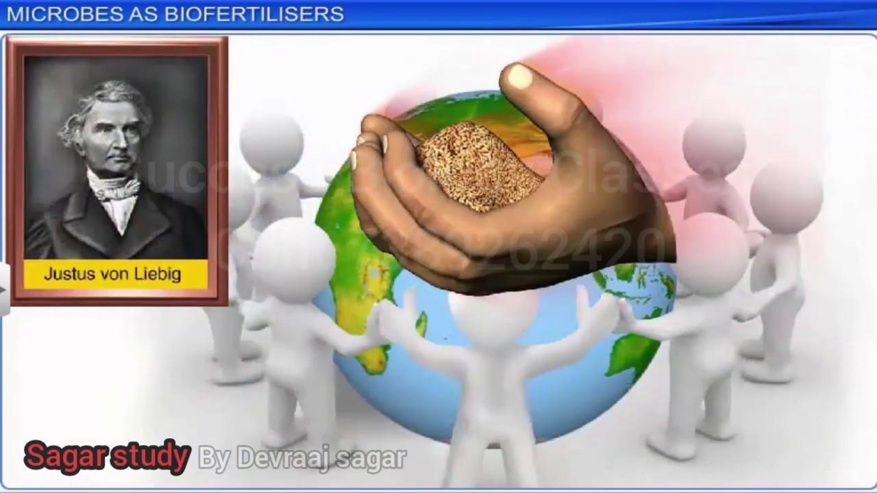 CBSE Class 12 Biology Part 2 Microbes In Human Welfare - YouTube