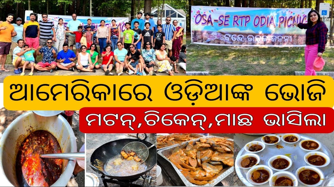 ଆମେରିକାରେ ଓଡ଼ିଆଙ୍କ summer picnic in usa odia vlogs americabuliba