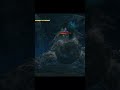 Notorious Hunt — Agni