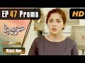 Watch Pakistani Drama | Ishq Bepanah - Episode 47 Promo | Express TV Dramas | Shameen Khan, Azeeka Daniel Online In HD