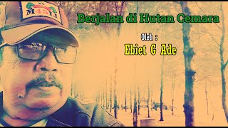 BERJALAN DI HUTAN CEMARA (+LIRIK) By EBIET G. ADE