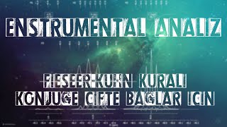 Enstrümental Analiz Konjuge Çifte Bağlar Için Fieser-Kuhn Kuralı