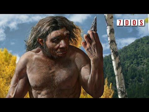 Video: Scientists Have Discovered A New Species Of Human Ancestors - Alternative View