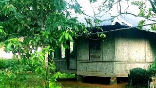 Suasana Di Desa Ini Wajib Di Tonton || Malingping Lebak Banten