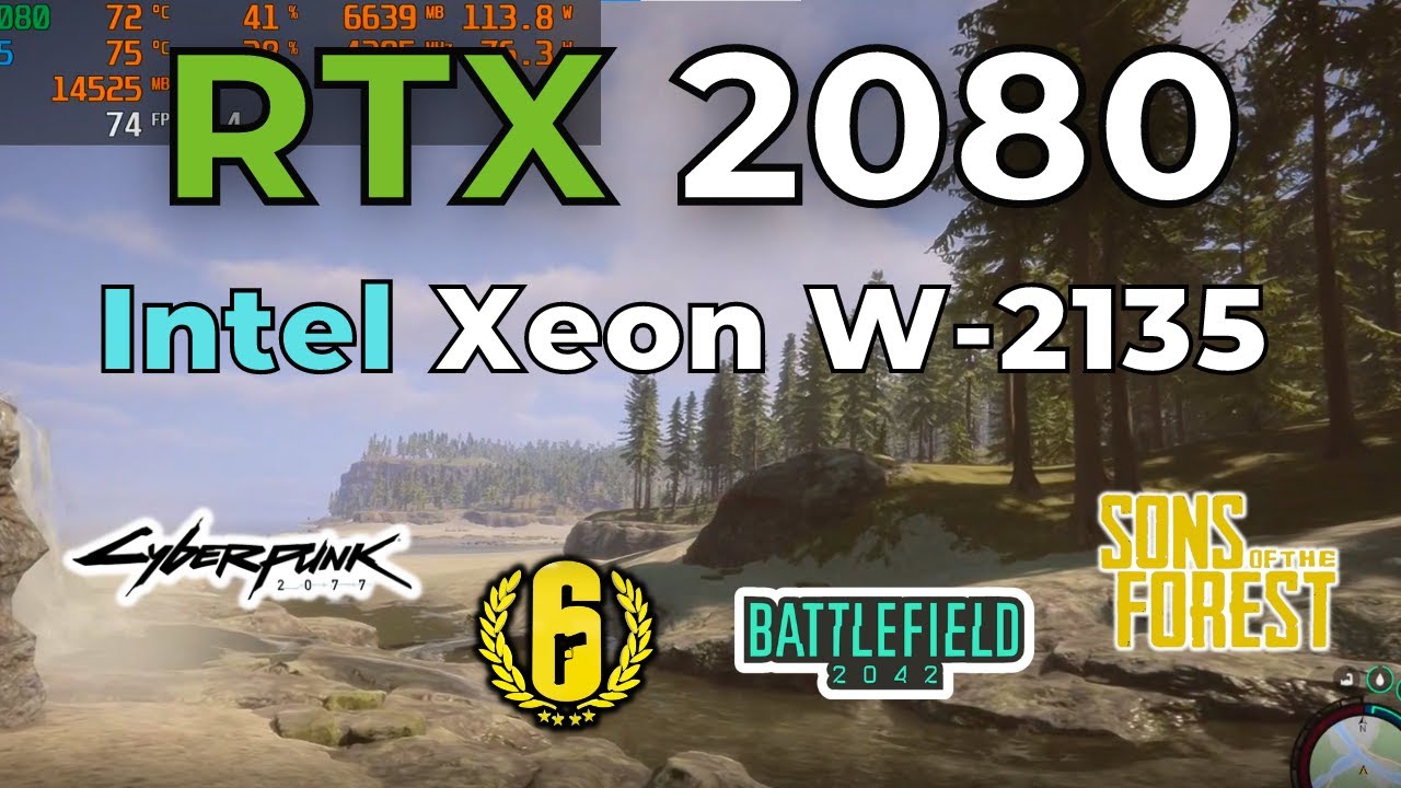 RTX 2080 + Intel Xeon W-2135 Benchmarks (4 Games Tested)