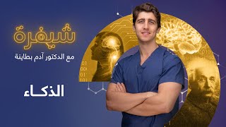 شيفرة | الذكاء وآلية التفكير