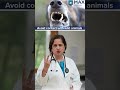 What Are 3 Ways To Prevent Rabies In Humans Max Hospital What Are 3 Ways To Prevent Rabies In Humans Max Hospital