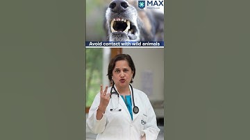 What are 3 ways to prevent rabies in humans? | Max Hospital