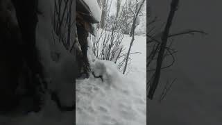 #طالقان #حسنجون  کلبه علی سلطان در حسنجون طالقان در فصل زمستان