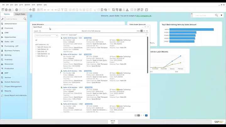 'Enterprise Search' function in SAP Business One