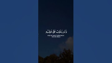 آيات تريح القلب للقارئ عبدالله الموسى مقاطع قرانية مريحة راحة نفسية مقاطع انستقرام