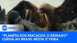 Video planeta-dos-macacos-o-reinado-chega-ao-brasil-nesta-5-feira-hollywood-news