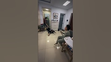 Hai cha con troll mẹ và cái kết #shorts #giaitri #haihuoc