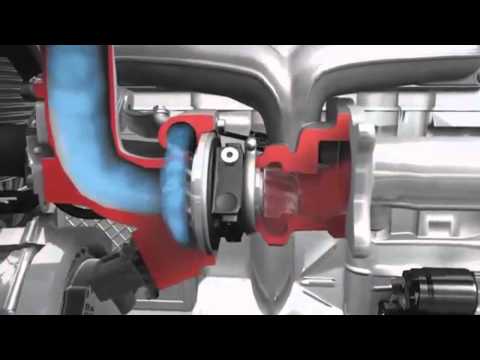 Видео: Нужен ли дизельному двигателю каталитический нейтрализатор?