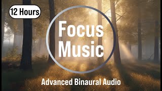 🌲 Forest Ambience • Deep Focus Music • Drone &amp; Nature for Flow • 24/7 Live
