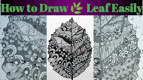 🌿 Leaf mandala art for beginners || Mandala Art || Zentangle Art ||#Shorts ||#Vartistica