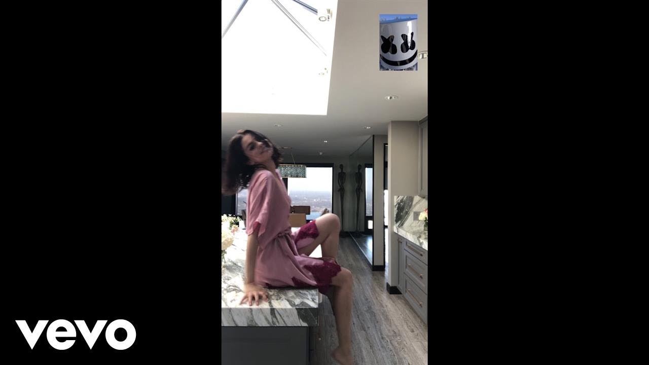 Selena Gomez Marshmello   Wolves Vertical Video