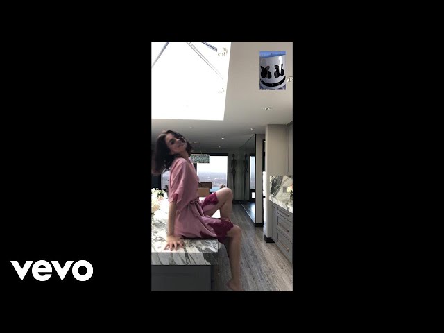 Selena Gomez, Marshmello - Wolves (Vertical Video) class=