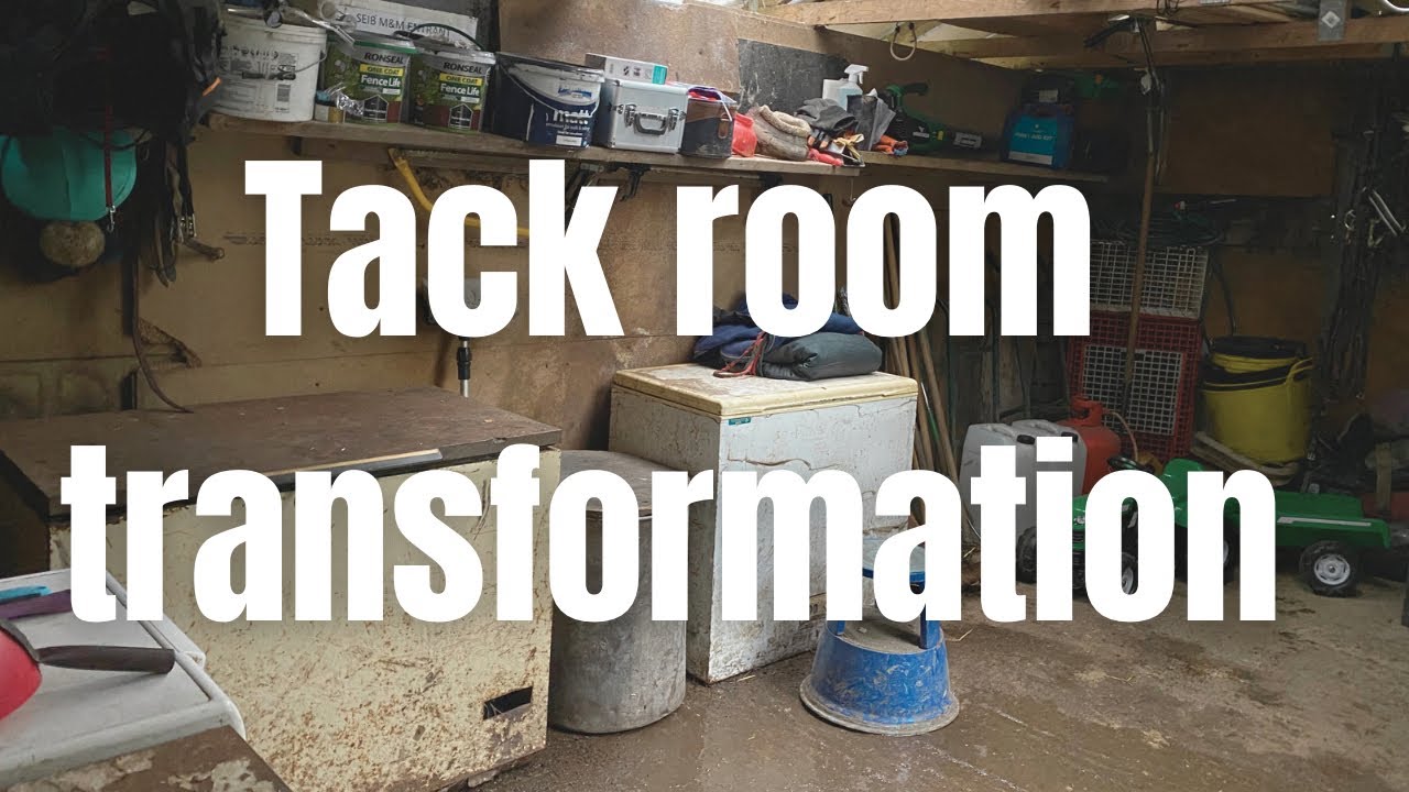 Tack room transformation / organisation | spring cleaning at my stable yard | equine vlogger