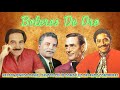 BOLEROS DE ORO DE NELSON PINEDO,ORLANDO CONTRERAS,CELIO GONZALEZ,DANIEL SANTOS - GRANDES EXITOS