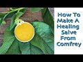 How To Make An Herbal Salve - Comfrey. (Uses For Healing Salves)
