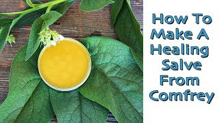 How To Make An Herbal Salve - Comfrey. (Uses For Healing Salves)