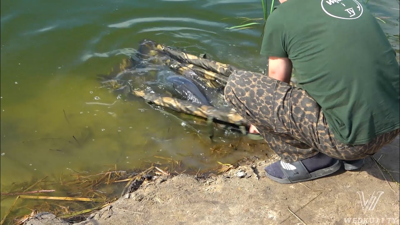 Zabawa łódką zanętową Prolam Hunter 650 i wywożenie zanęty