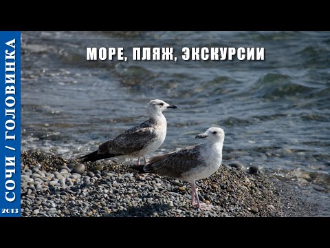 2013 г. Сочи /Головинка/. Море, пляж, экскурсии.