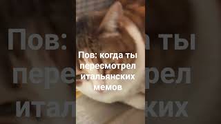 итальянские мемы повсюду #смешное #квинка #roblox #игры #мем #мемас