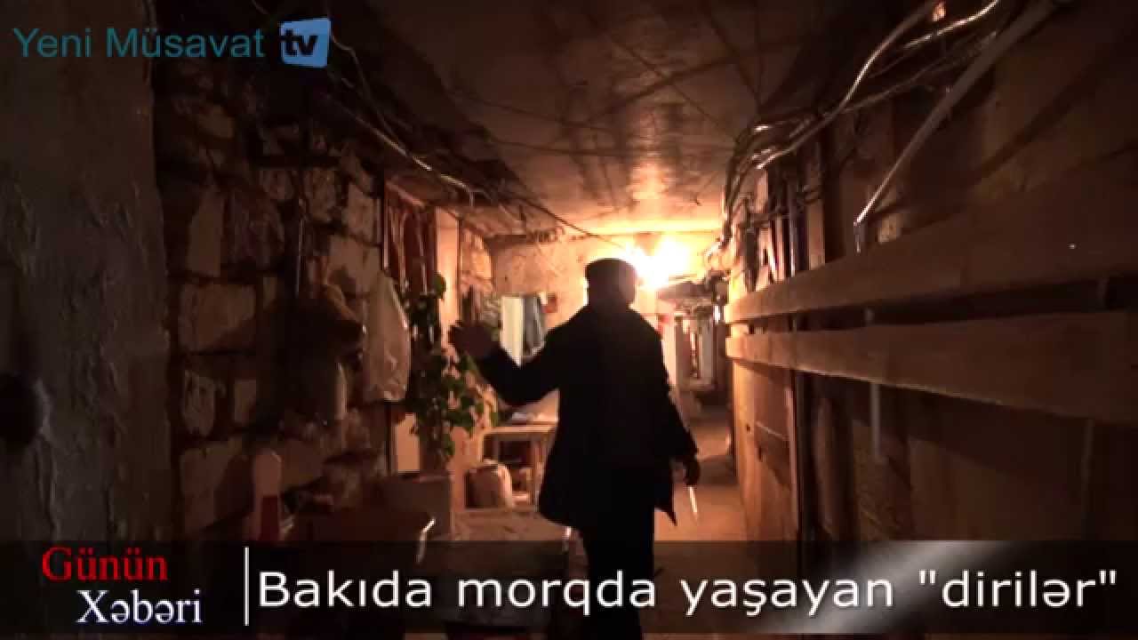 neftekhimik nizhnekamsk Bakıda morqda yaşayan