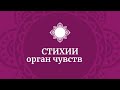 Сонастройка на стихии орган чувств