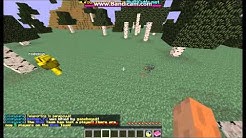 gameboyuk & rokinscum
