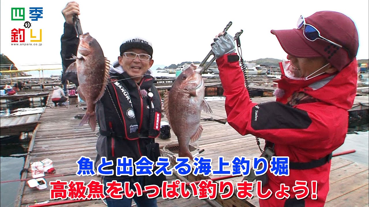 魚と出会える海上釣り堀 高級魚をいっぱい釣りましょう 四季の釣り 年12月11日放送 Youtube 魚と出会える海上釣り堀 高級魚をいっぱい釣りましょう 四季の釣り 年12月11日放送 Youtube