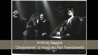 Andrzej Zaucha - Zbójowanie (z musicalu Pan Twardowski, 1990)