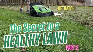 Full Guide: Dethatch Your Lawn with Greenworks DT13B00 | Part 2