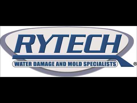 Episode 1   What Does the Foxx Say with Rytech's Melody Foxx   YT